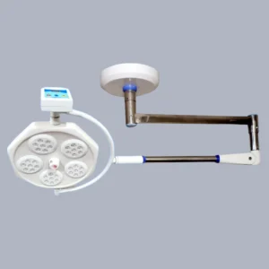 NAINO-35 BRS-14 Ceiling Light